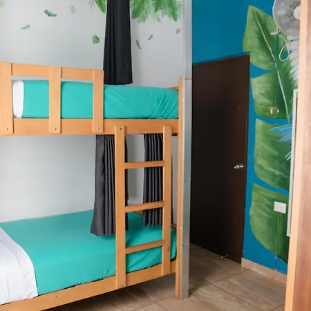 The Secret Garden Hostel-3